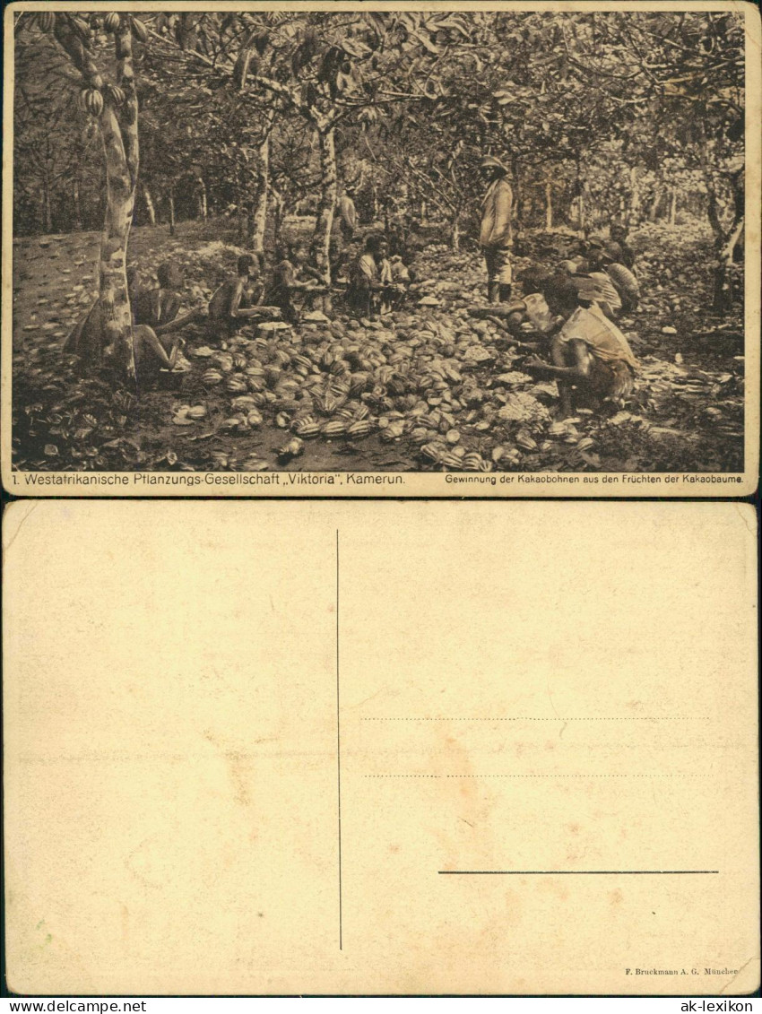 Postcard .Kamerun Westafrikanische Pflanzungs-Gesellschaft Viktoria 1929