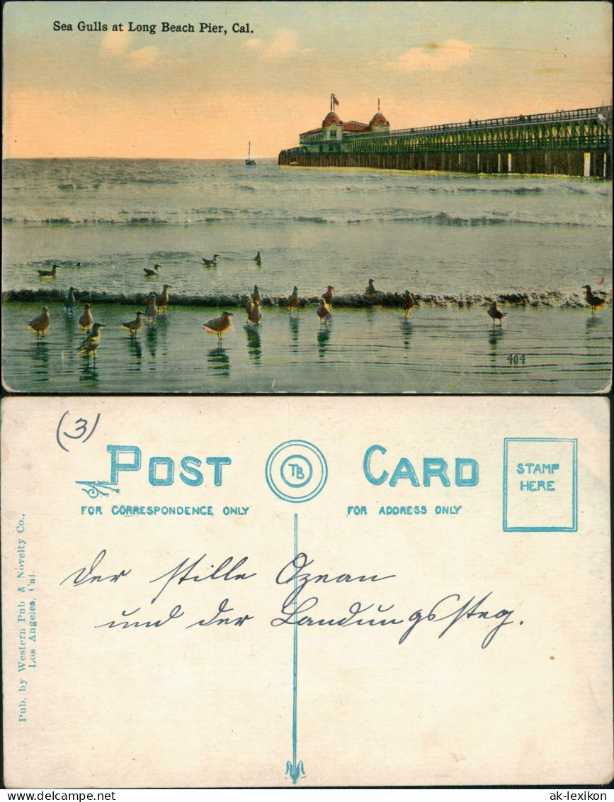 Postcard Long Beach Sea Gulls at Long Beach Pier 1913  California