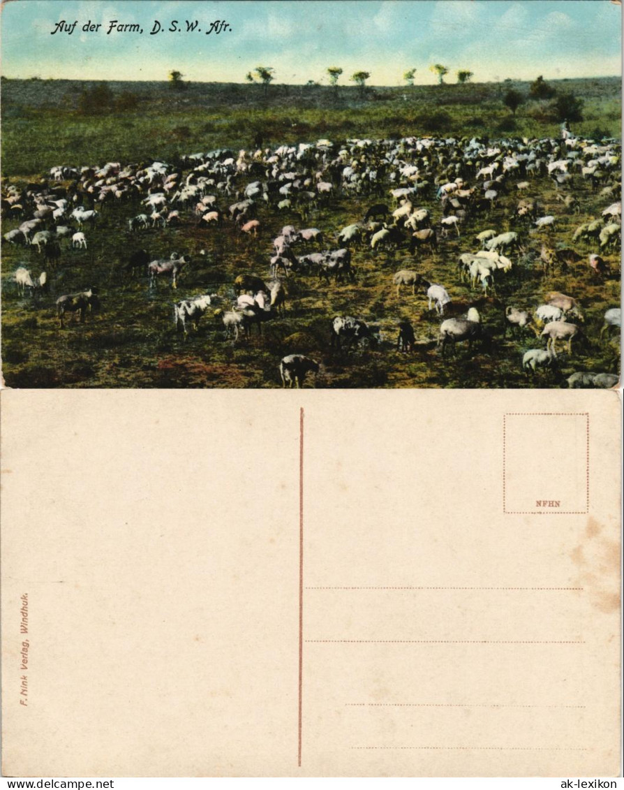 Postcard .Namibia Deutsch-Südwestafrika DSWA Farm Kolonie 1909