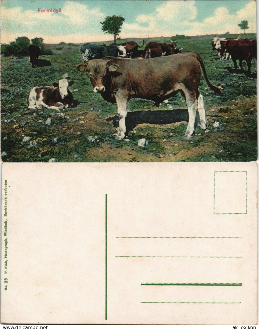 Postcard .Namibia Farmidyll Deutsch-Südwestafrika DSWA Kolonie 1908