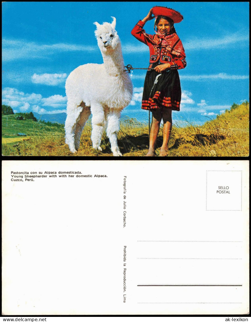 Postcard PERU Landschaften Frau in Tracht mit Lama 1976