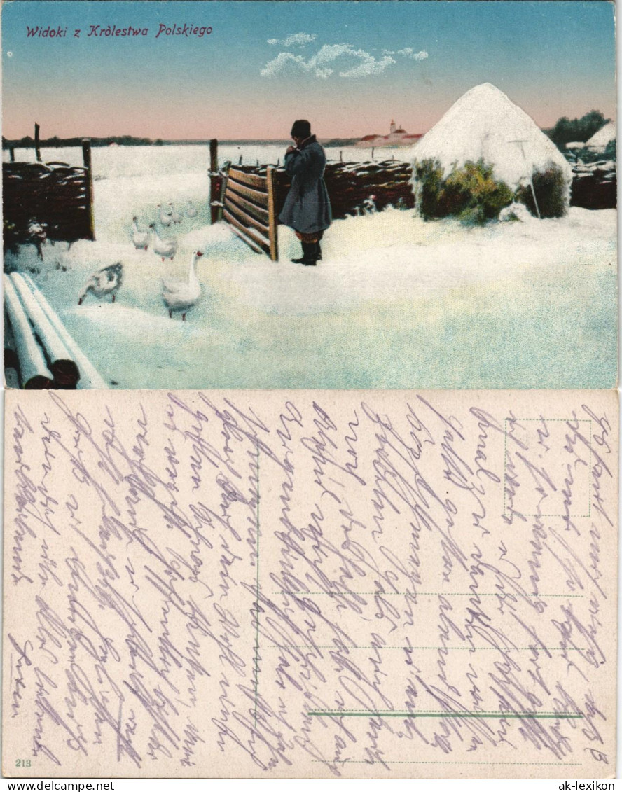 Postcard Polen Polska Polen / Polska - Gänse, Mann, Bauernhof 1917