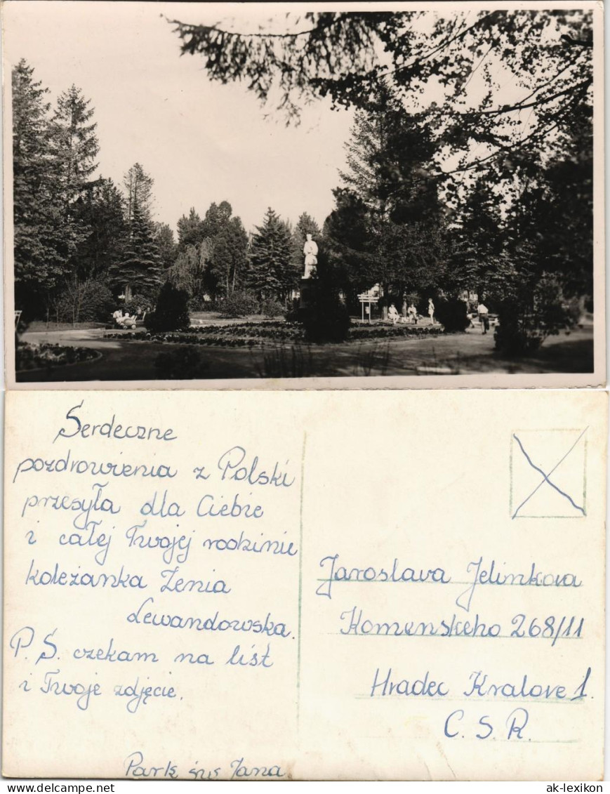 Postcard Polen Polska Polen Polska Parkanlage 1961