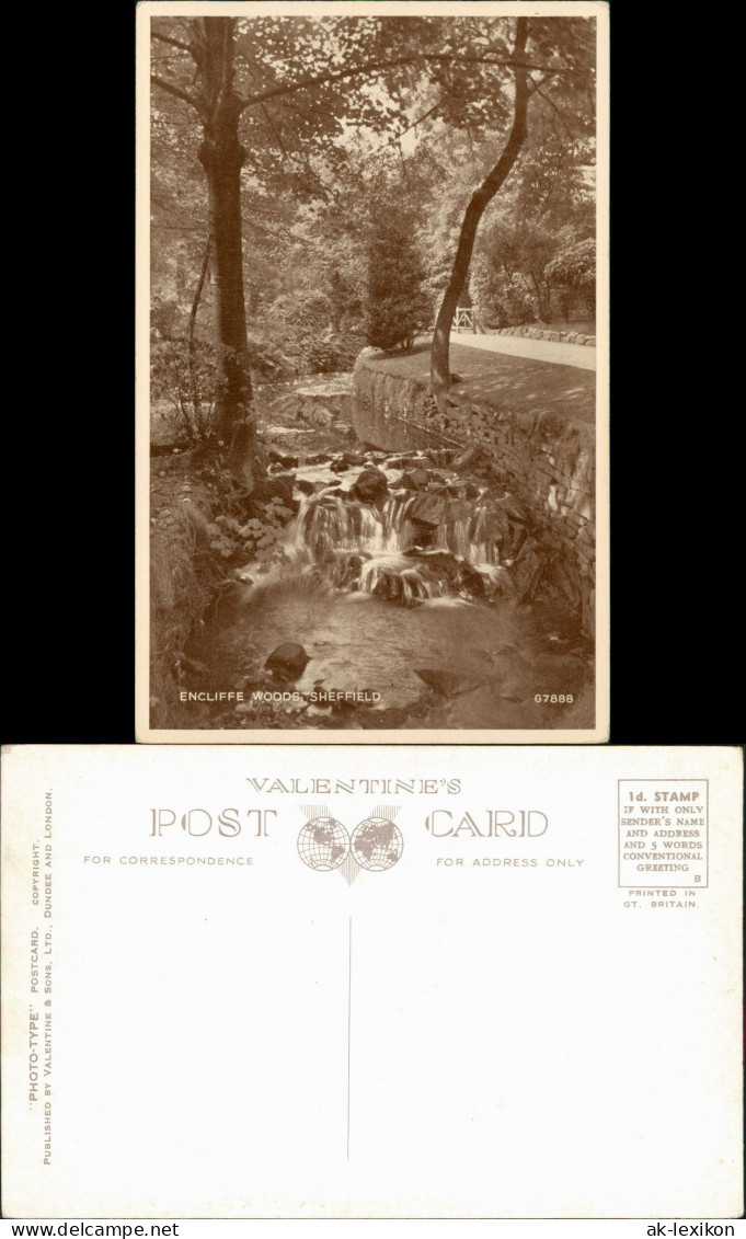 Postcard Sheffield ENCLIFFE WOODS, SHEFFIELD 1930