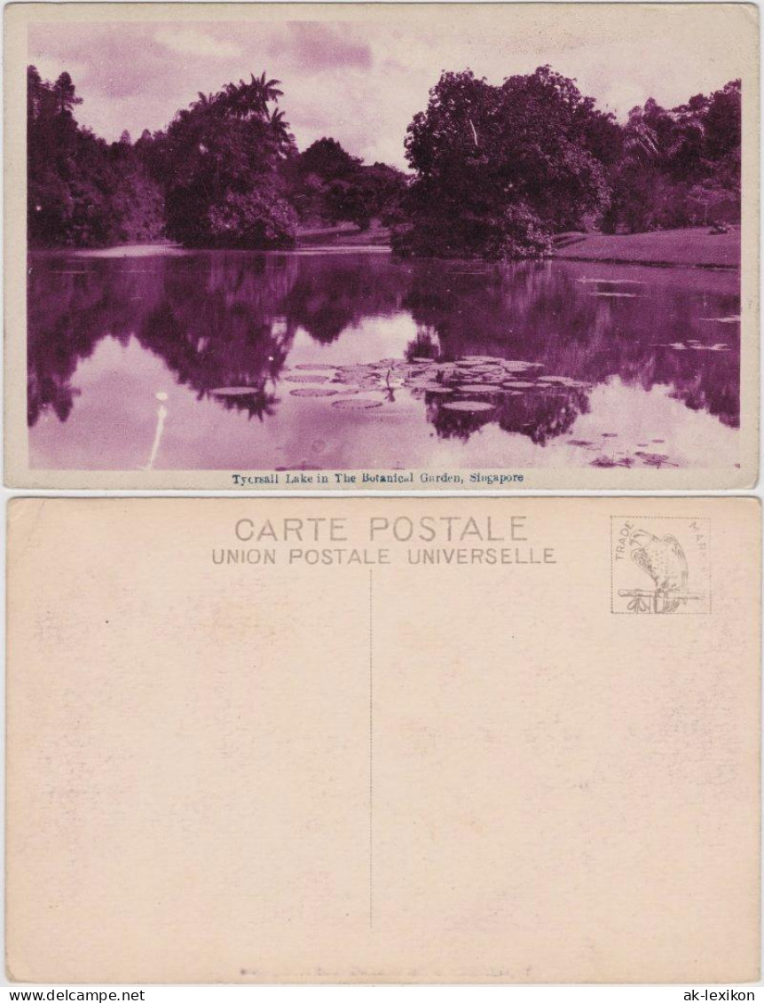 Postcard Singapur See im Botanischen Garten 1920