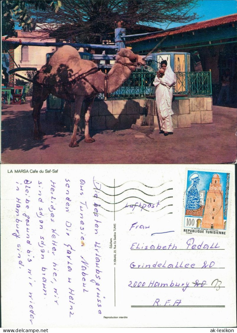 Postcard Tunesien LA MARSA Cafe du Saf-Saf, Kamel Einheimische 1980