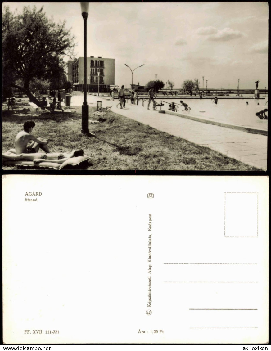 Postcard .Ungarn Ungarn (Allgemein) AGÁRD Strand 1950