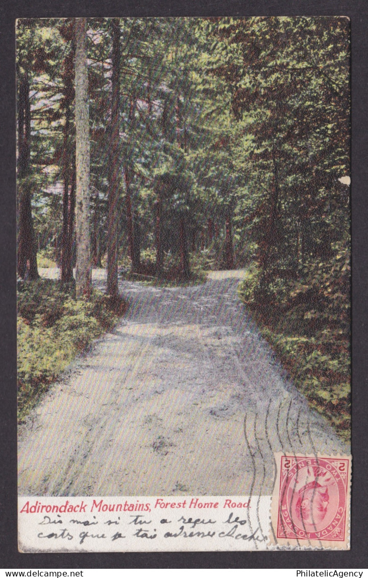 Postcard, UNITED STATES, Adirondack Mountains, Forest Home Road