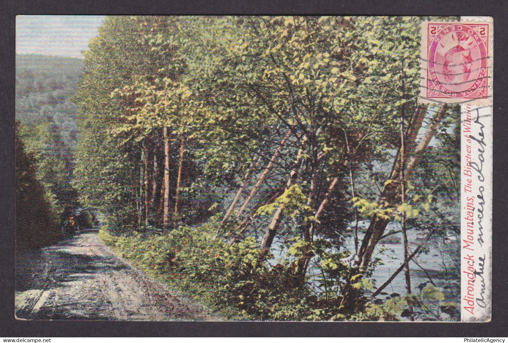 Postcard, UNITED STATES, Adirondack Mountains, The Birches At Wilmington Notch