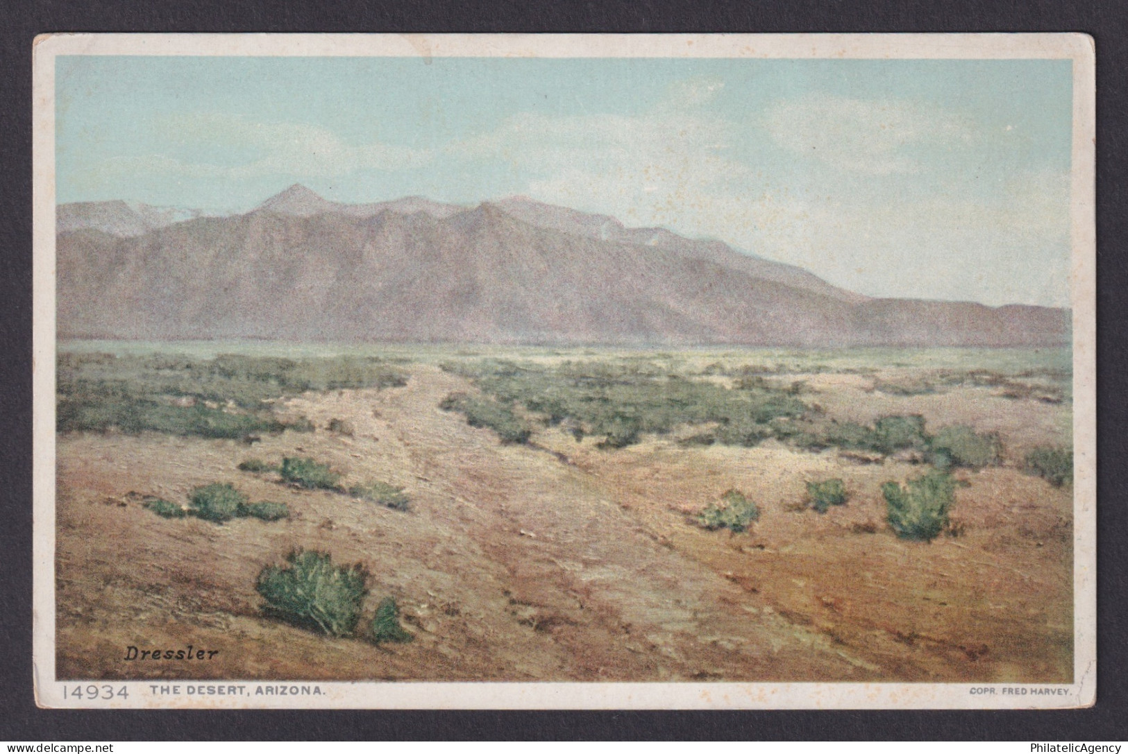 Postcard, United States, Arizona AZ, The Desert