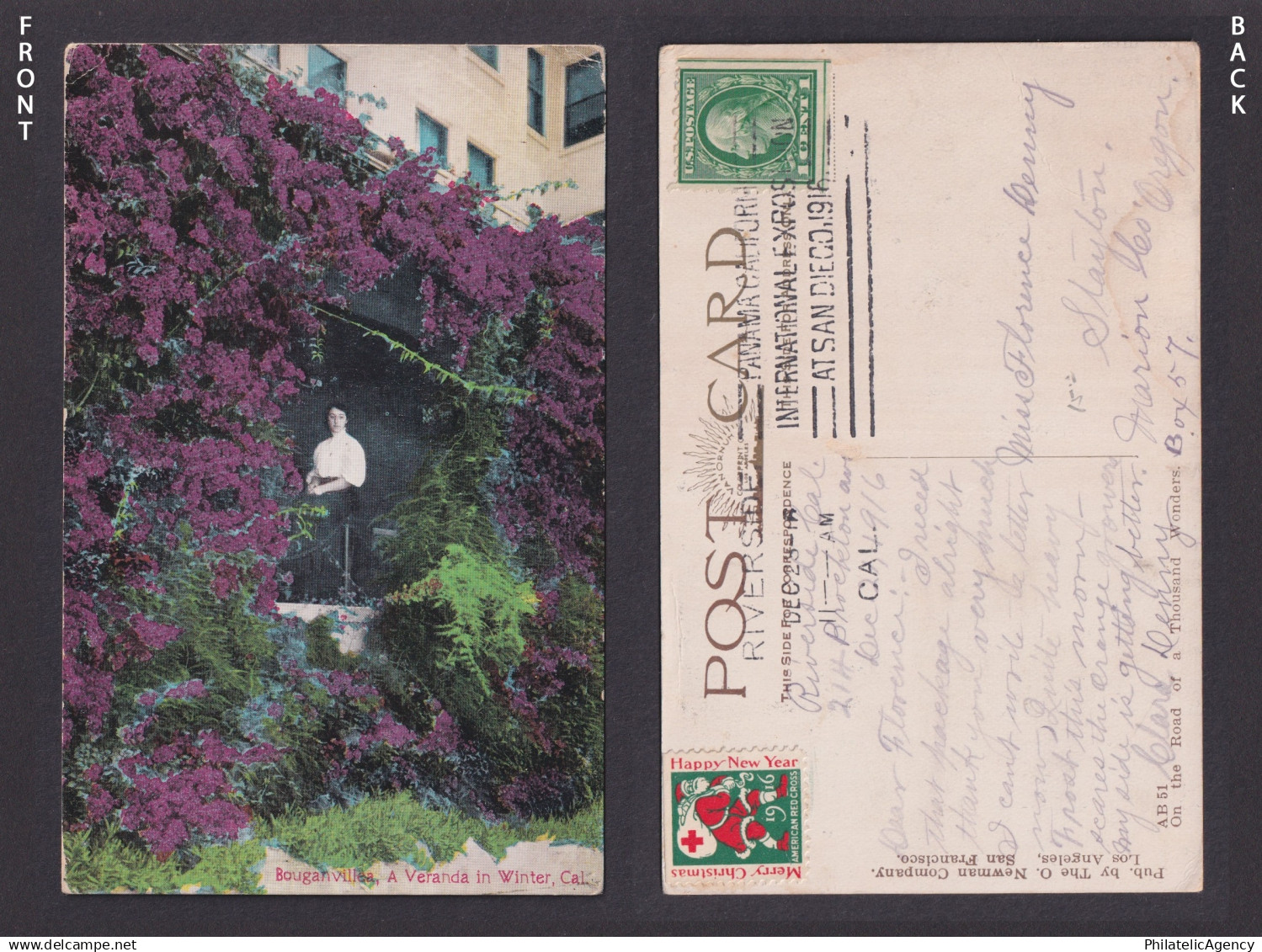 Postcard, United States, California CA, Bouganvillea, A Veranda in Winter