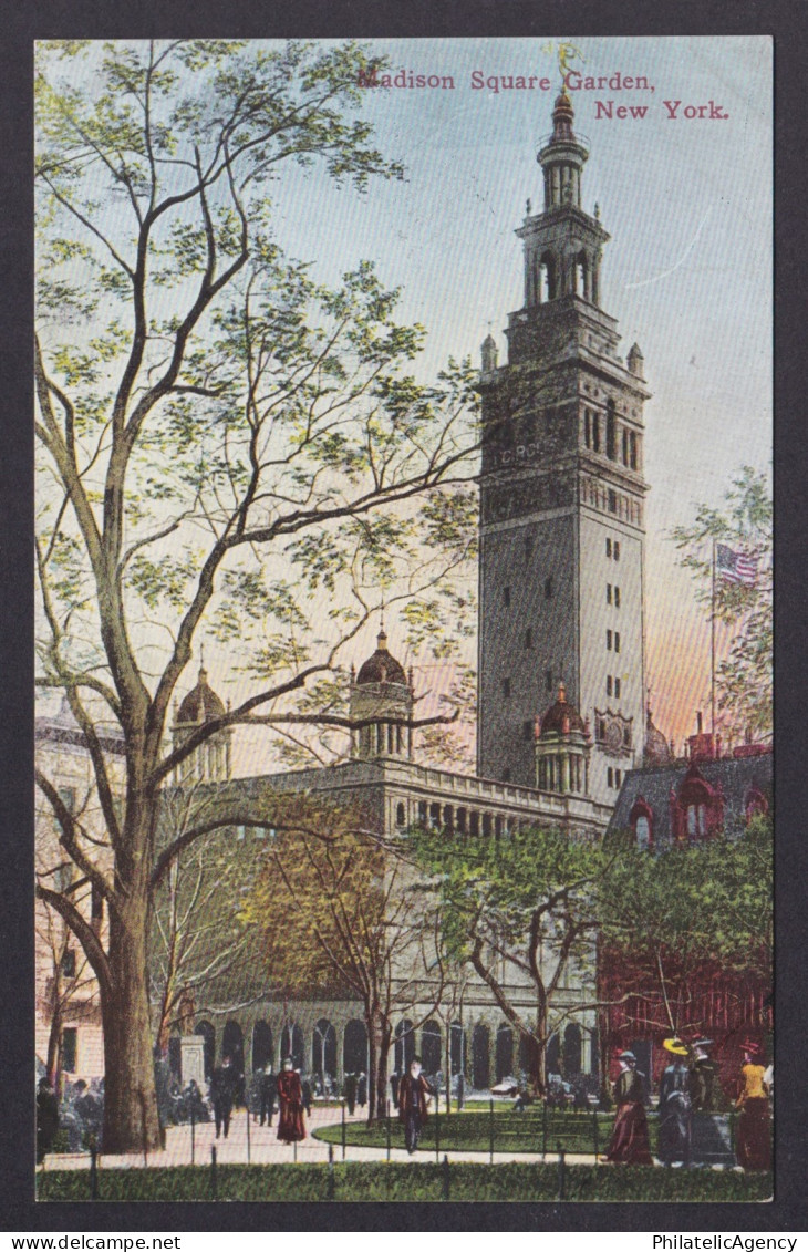 Postcard, United States, New York City NY, Madison Square Garden