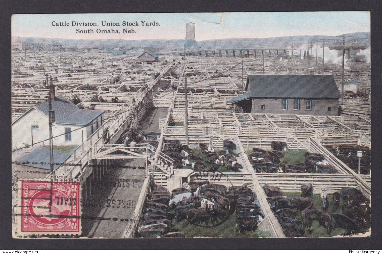 Postcard, United States, Omaha NE, Cattle Division, Union Stock Yards