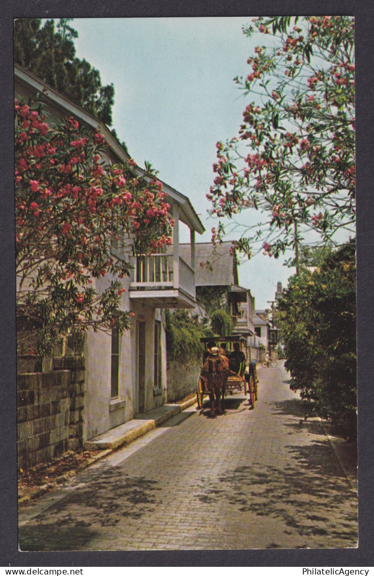 Postcard, United States, St. Augustine FL, Aviles Street