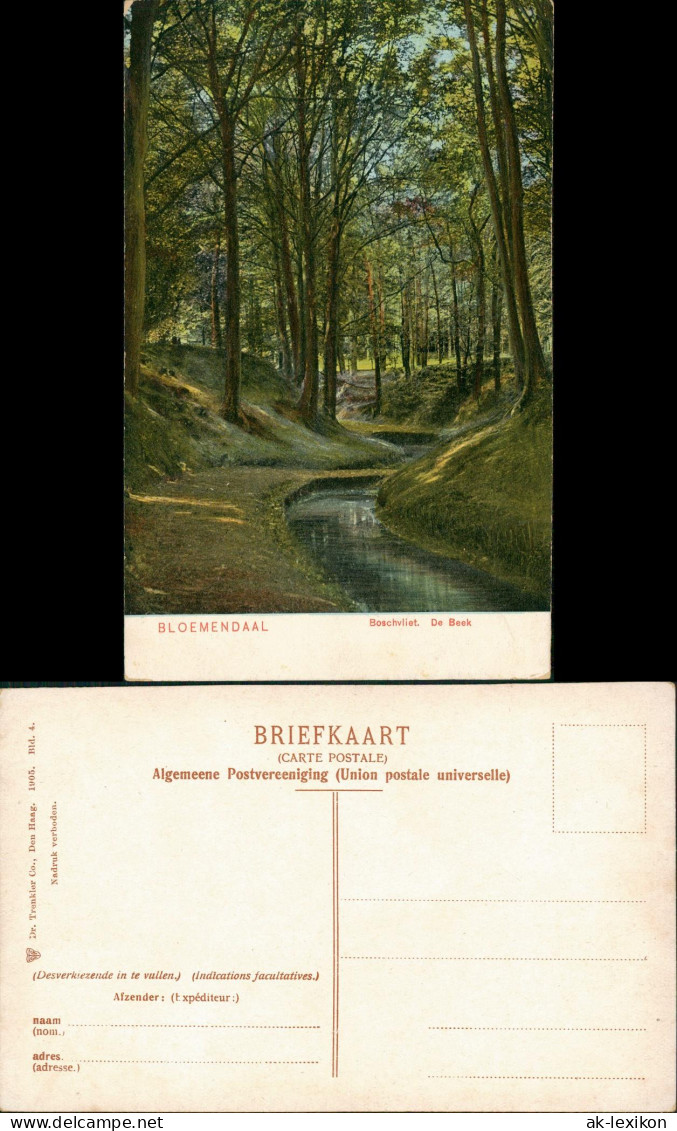 Postkaart Bloemendaal Boschvliet. De Beek 1905