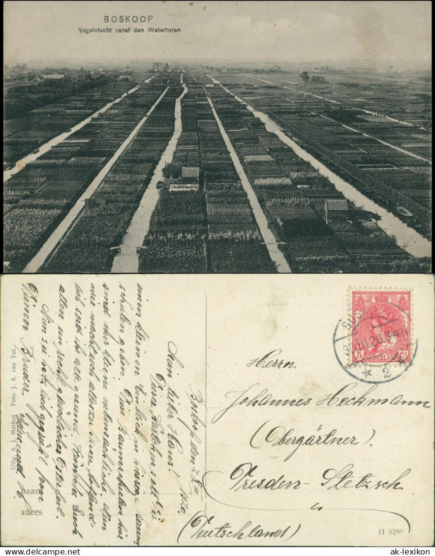 Postkaart Boskoop (Niederlande) Vogelvlucht vanal den Watertoren 1920
