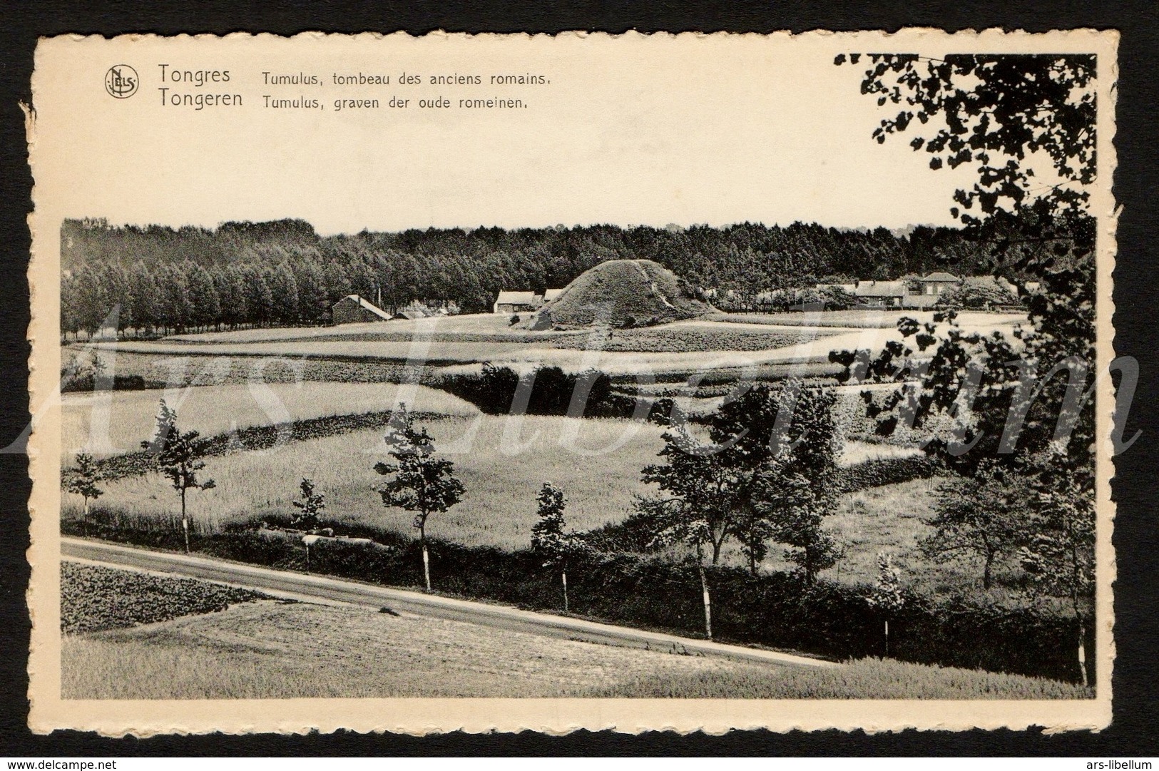 Postkaart / CPA / Tongeren / Tongres / Tumulus / graven der ouder Romeinen / Ed. Ern. Thill / unused