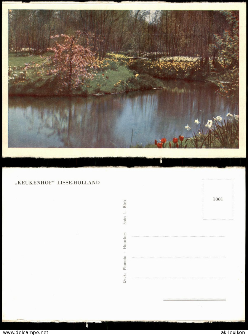 Postkaart Lisse Blumen KEUKENHOF LISSE-HOLLAND 1960
