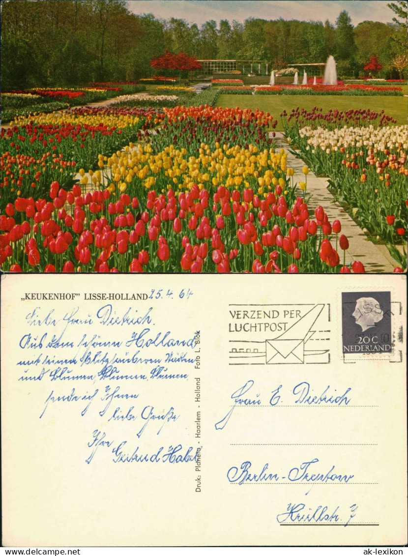 Postkaart Lisse KEUKENHOF LISSE-HOLLAND, Blumen & Pflanzen 1964