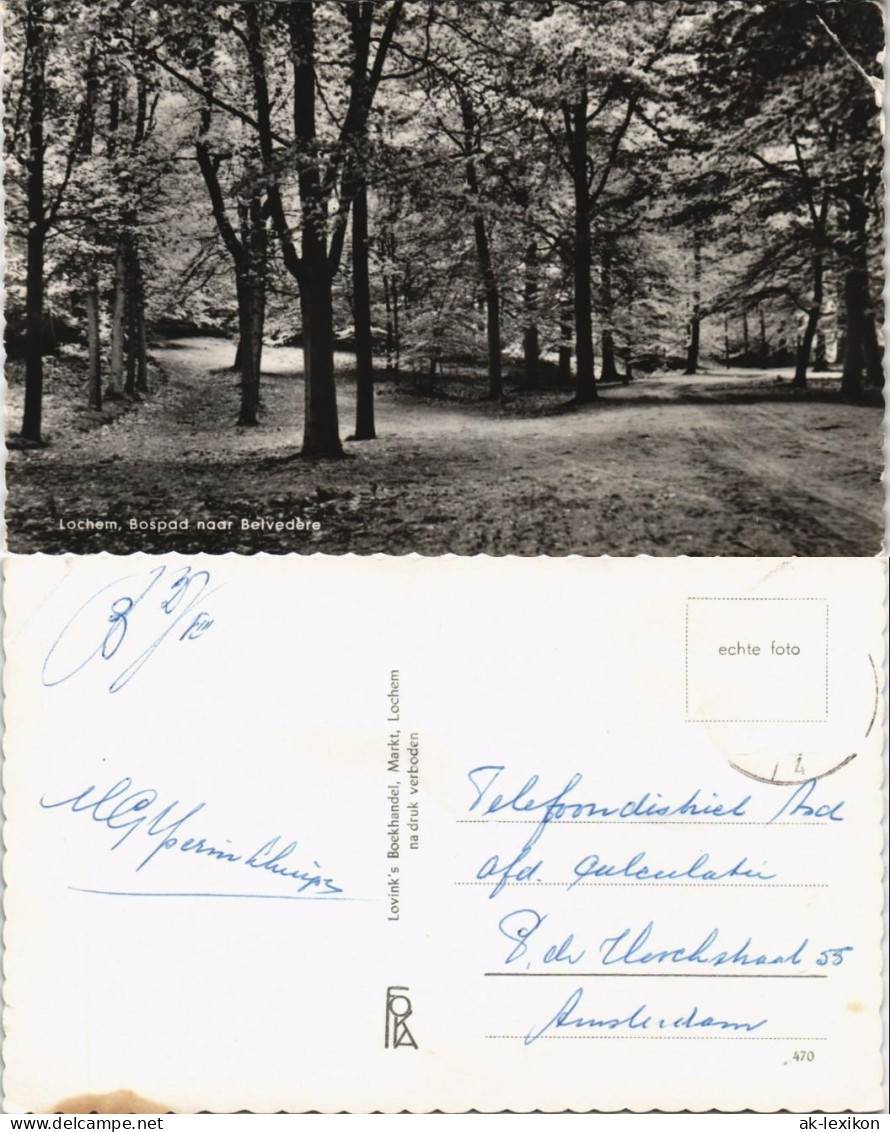 Postkaart Lochem Lochem, Bospad naar Belvedere 1965