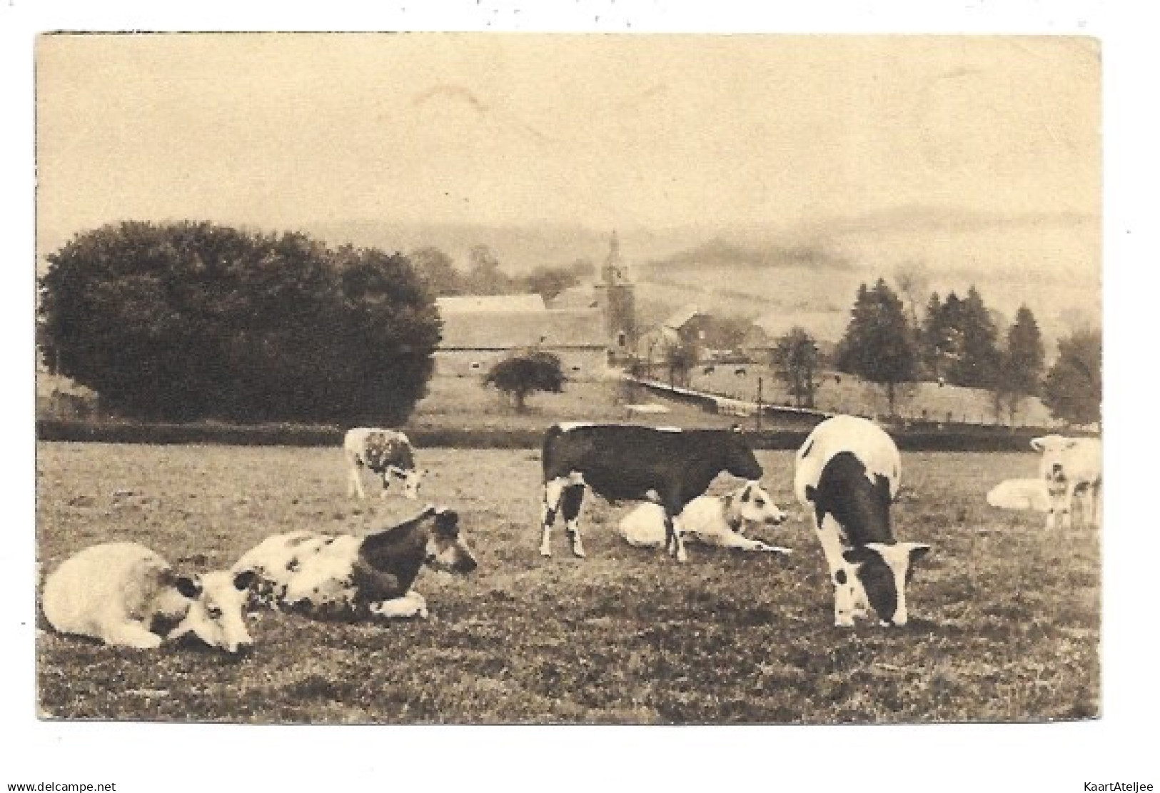 Postkaart - Onbekend Te Identificeren .....