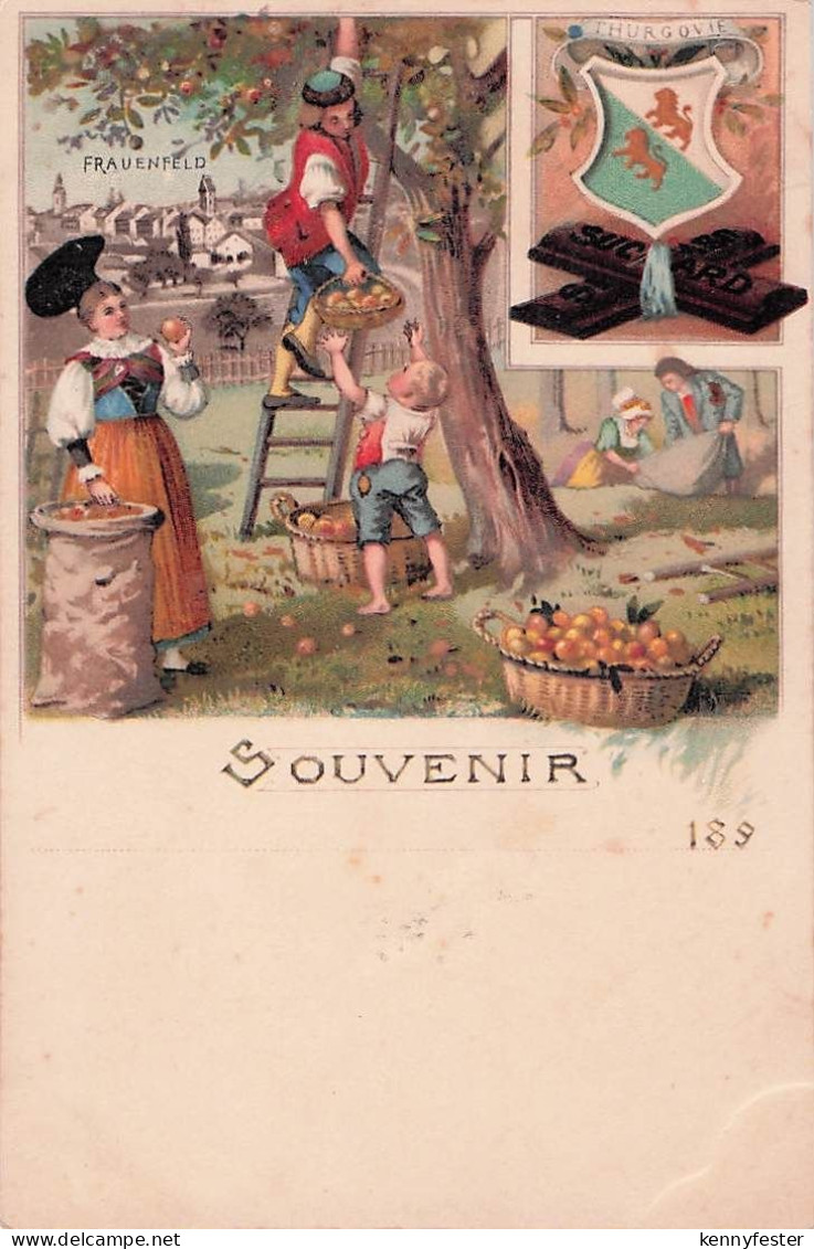 Postkarte Frauenfeld Frauenfeld Suchard Litho ca. 1900 Frauenfeld