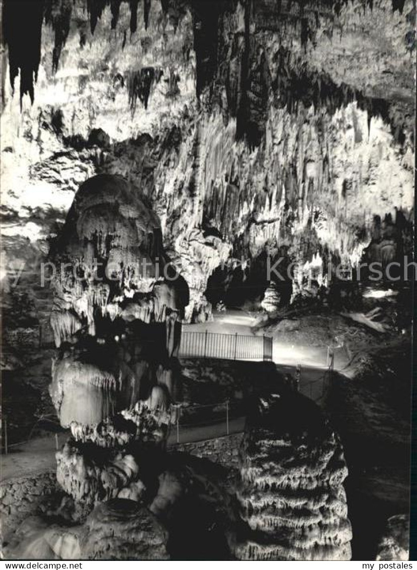 Postojnska Slowenien Tropfsteinhoehle