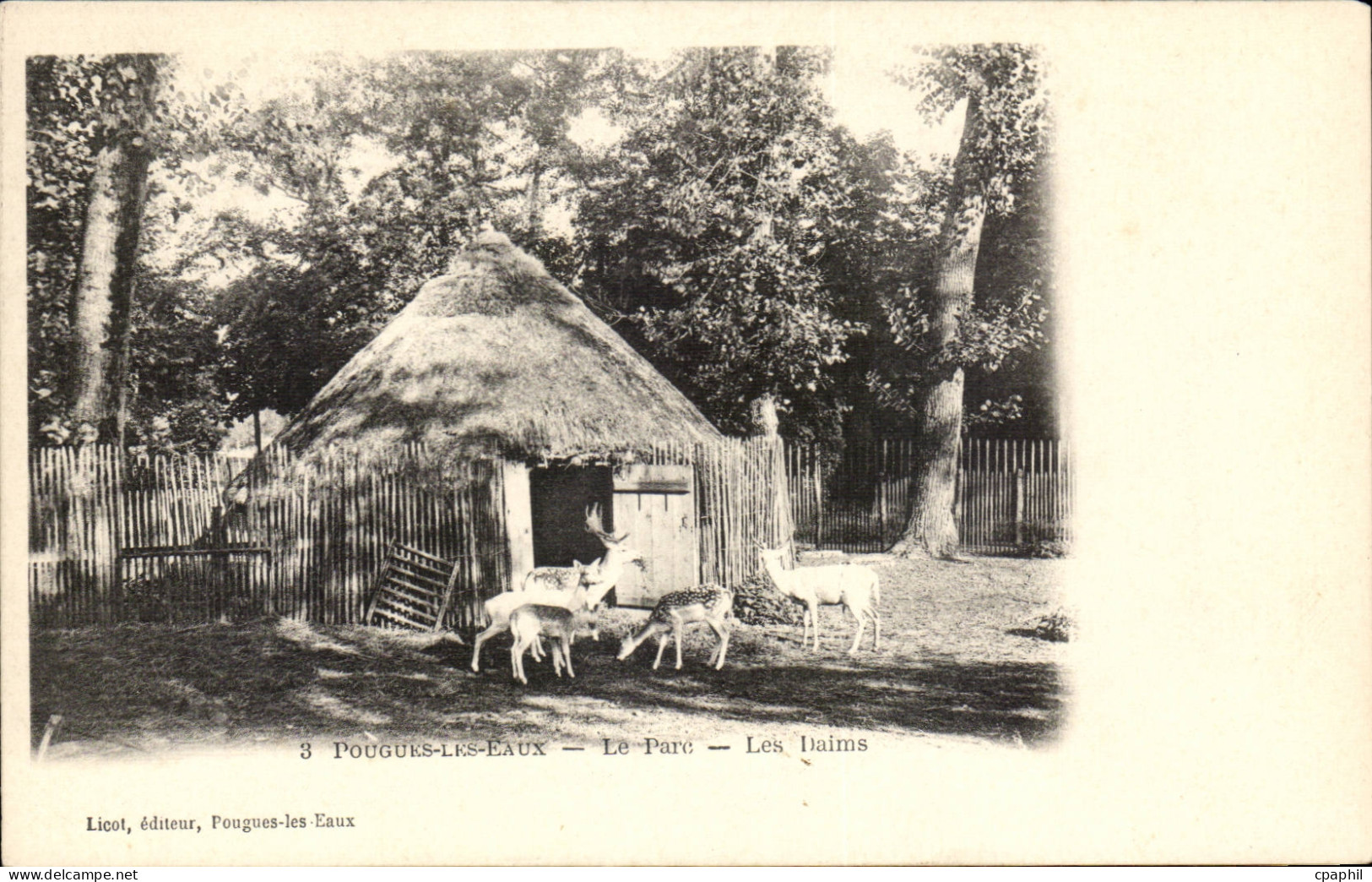 Pougues les Eaux - Le Parc - Les Daims - deer - CPA