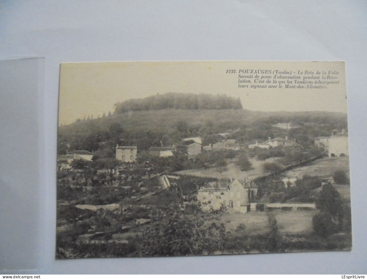 POUZAUGES Le Bois de la Folie Carte Postale