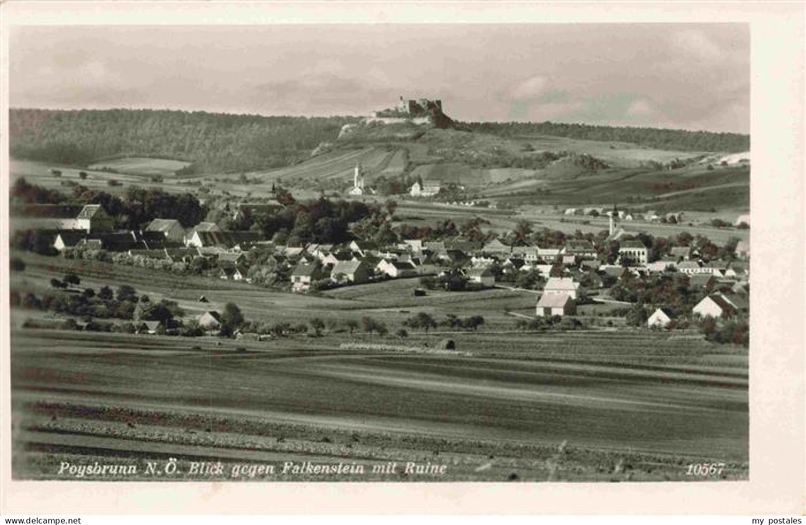 Poysbrunn Poysdorf Weinviertel Niederoesterreich AT Blick nach Falkenstein mit R