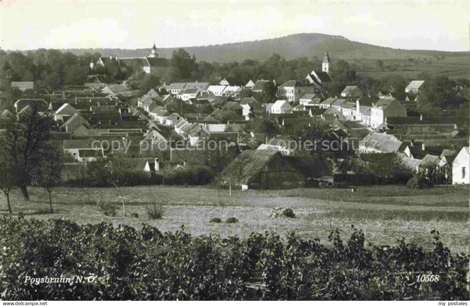 Poysbrunn Poysdorf Weinviertel Niederoesterreich AT Panorama