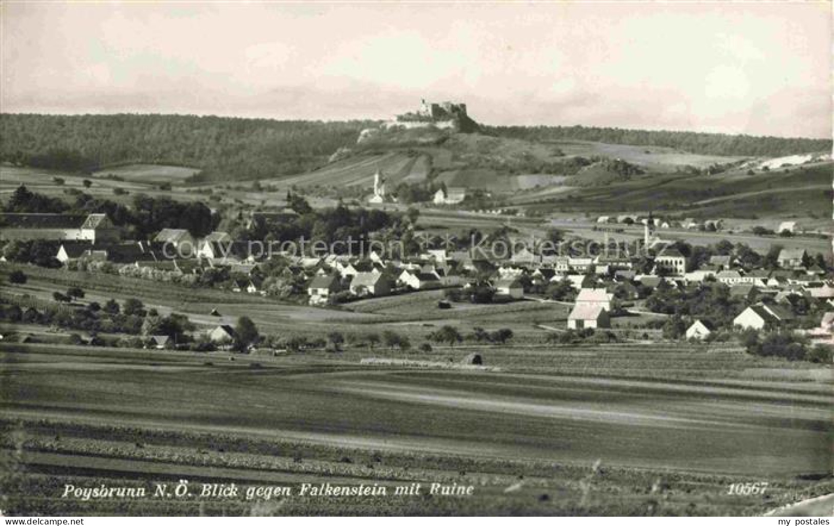 Poysbrunn Poysdorf Weinviertel Niederoesterreich AT Panorama Blick gegen Falkens
