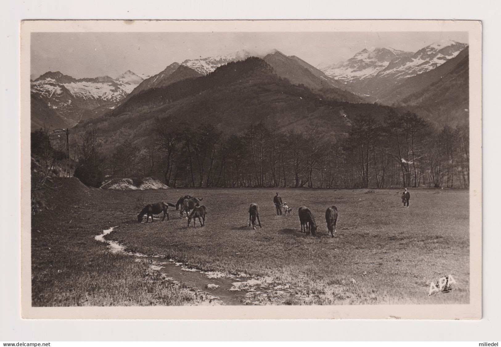 PR1075 - OUST - Vallée d'Ercé