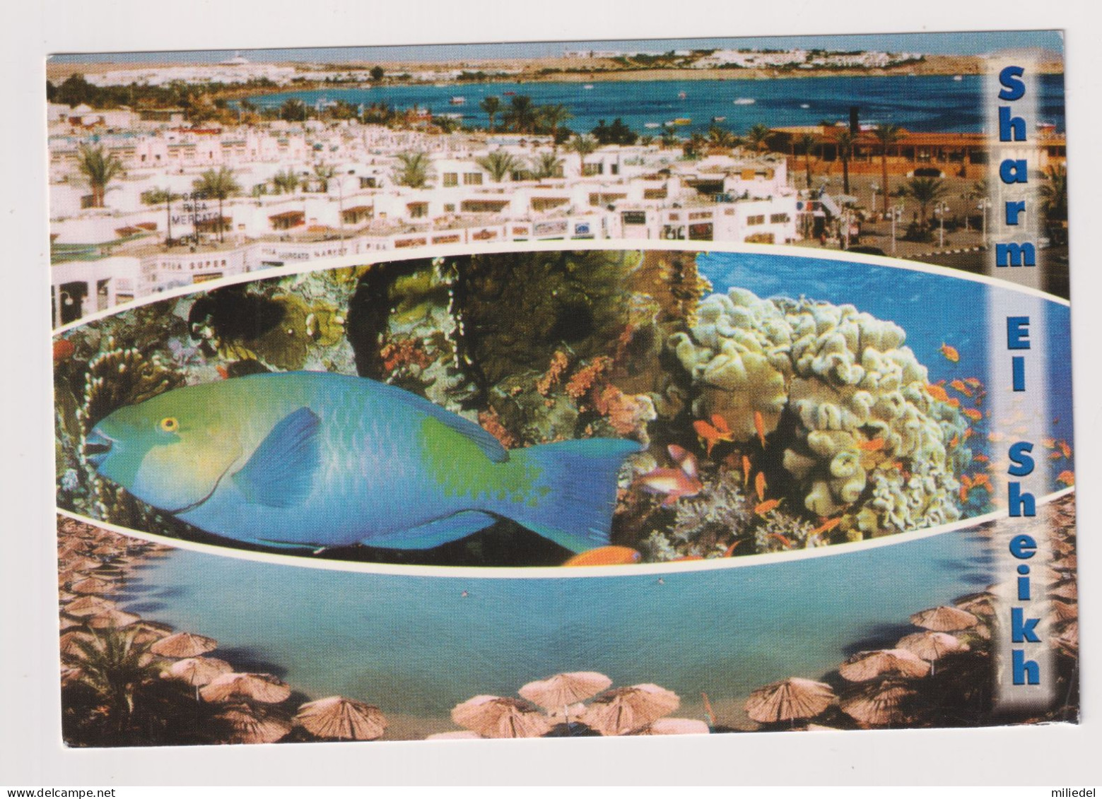 PR908 - EGYPTE - Sharm el Sheikh