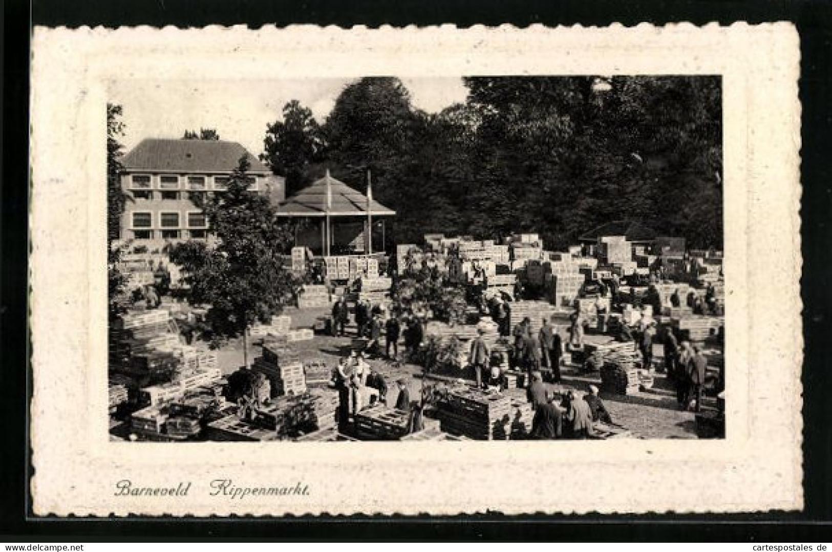 Präge-AK Barneveld, Kippenmarkt