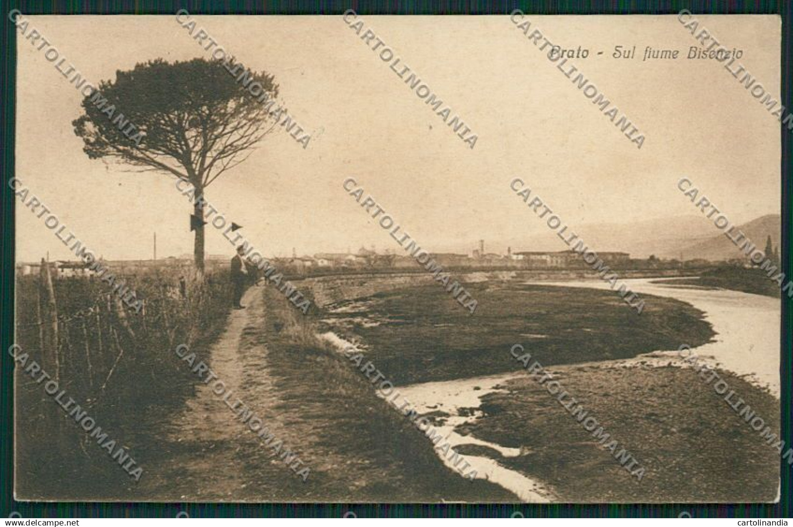 Prato Città cartolina EE6972