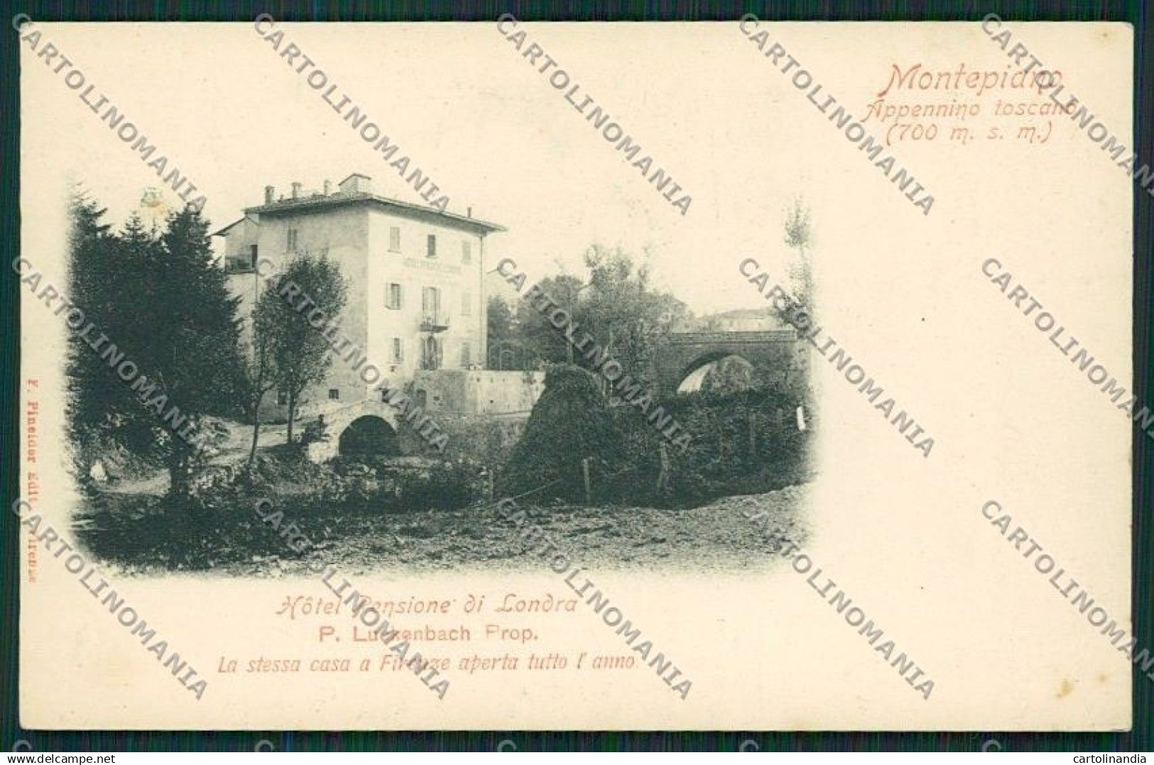 Prato Montepiano cartolina QQ1705