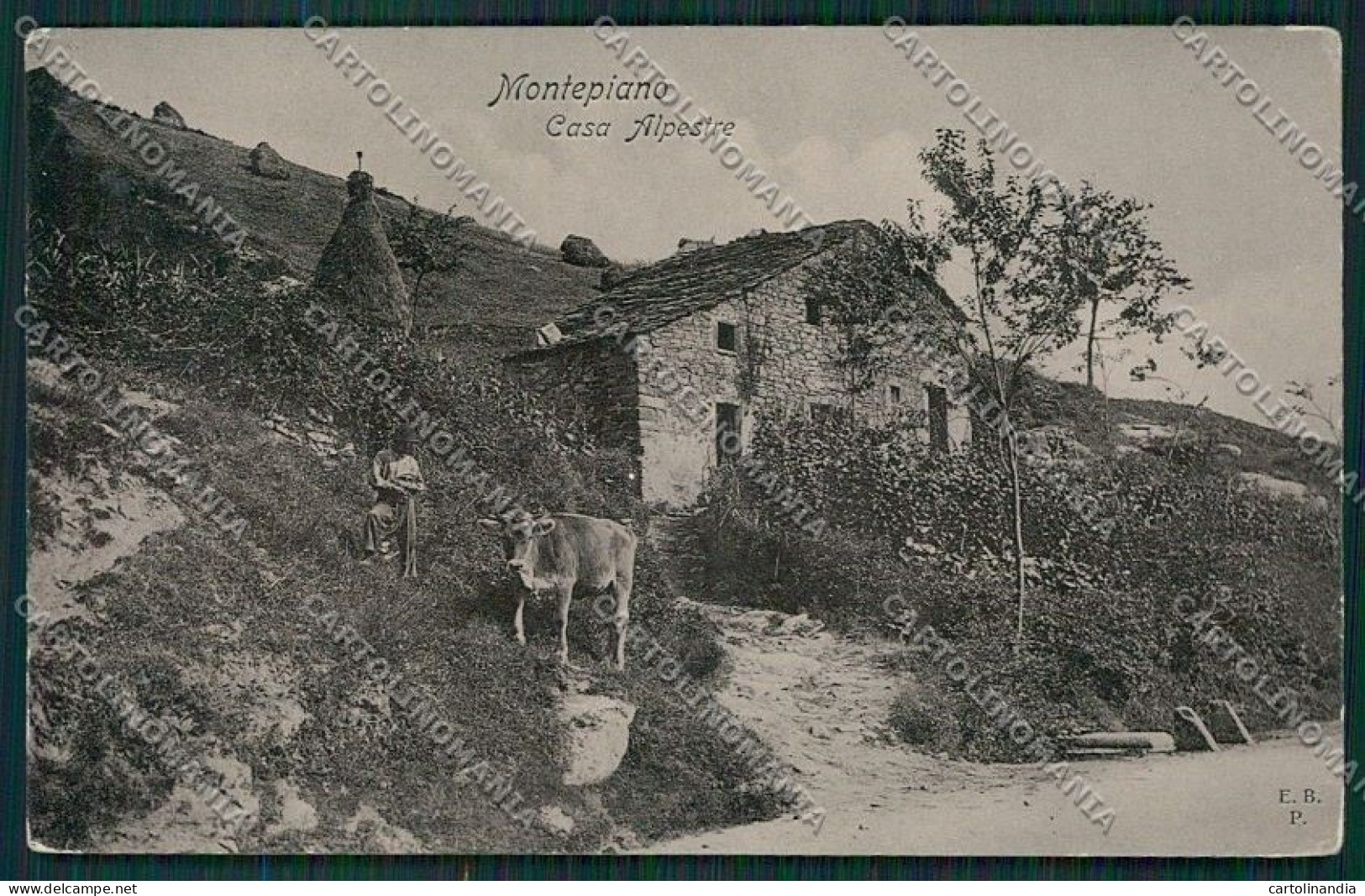 Prato Montepiano cartolina QQ1708