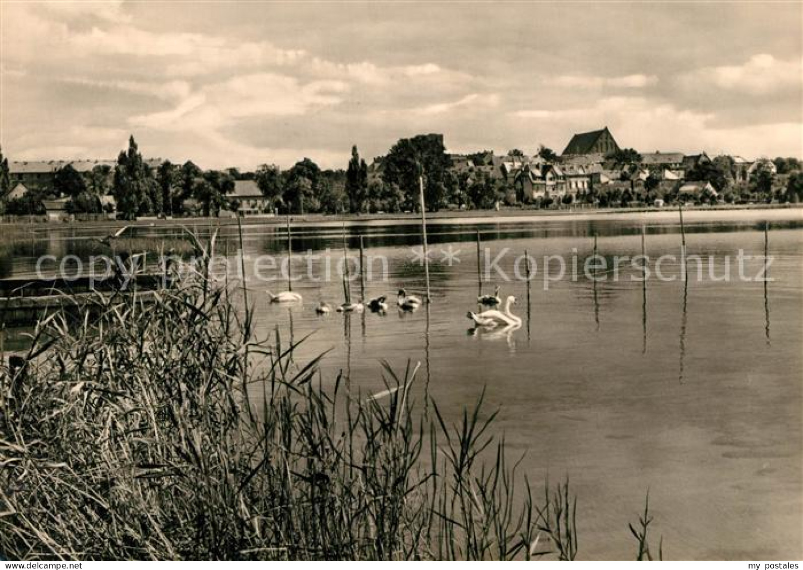 Prenzlau Am Unteren Ueckersee