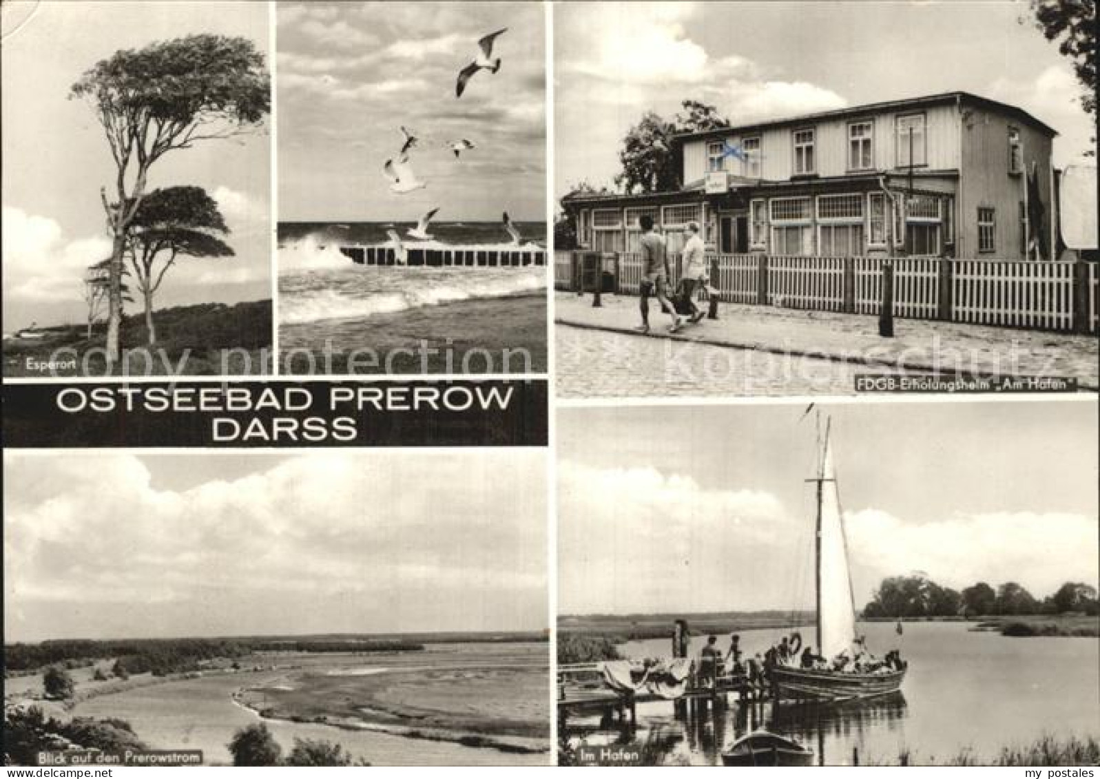 Prerow Ostseebad Darss Hafen Esperort Prerowstrom Hafen