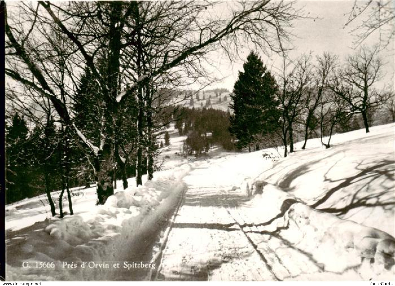 Pres-d Orvin BE et Spitzberg