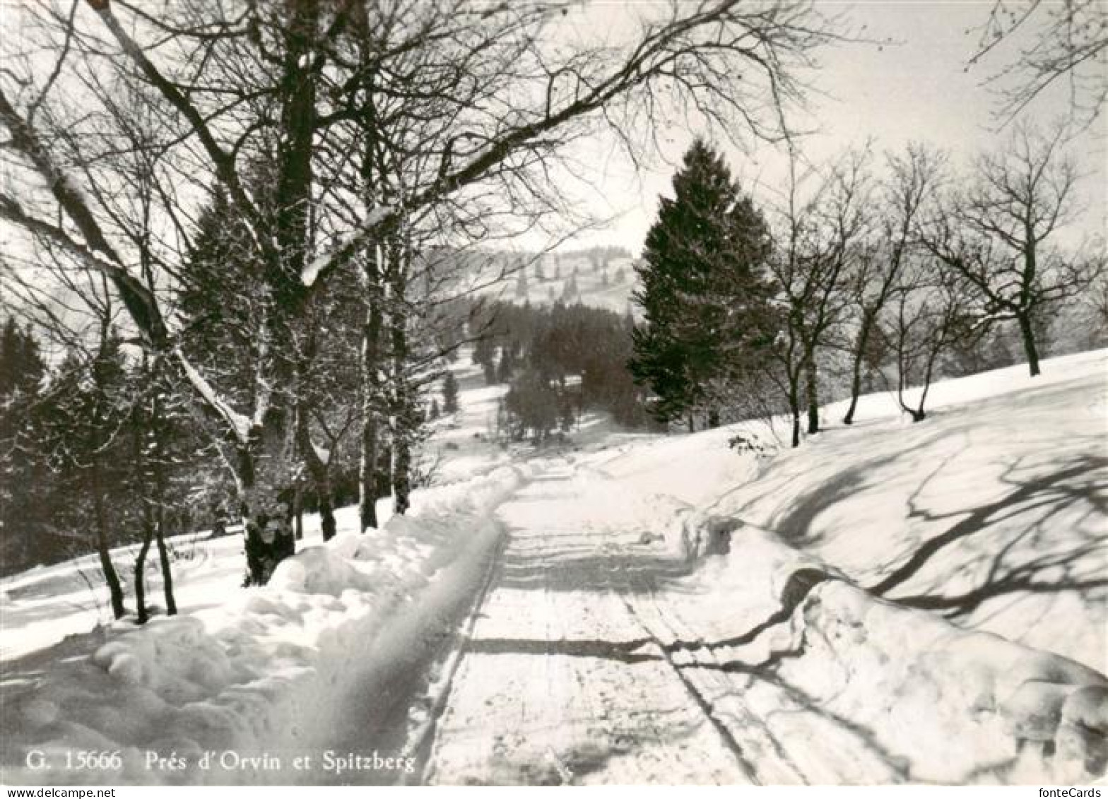 Pres-d Orvin BE et Spitzberg