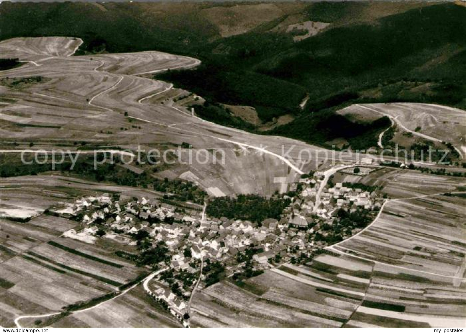 Presberg Rheingau Fliegeraufnahme