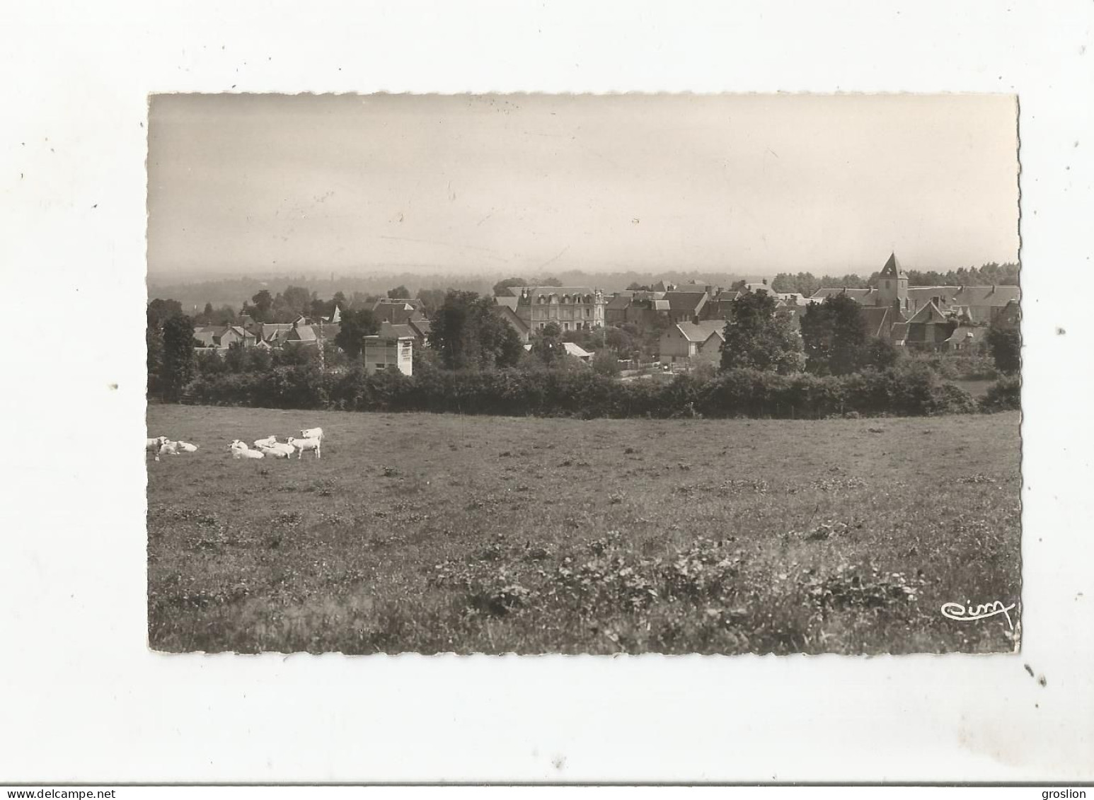 PREVERANGES (CHER) CARTE PHOTO VUE GENERALE (EGLISE CHATEAU HABITATIONS)