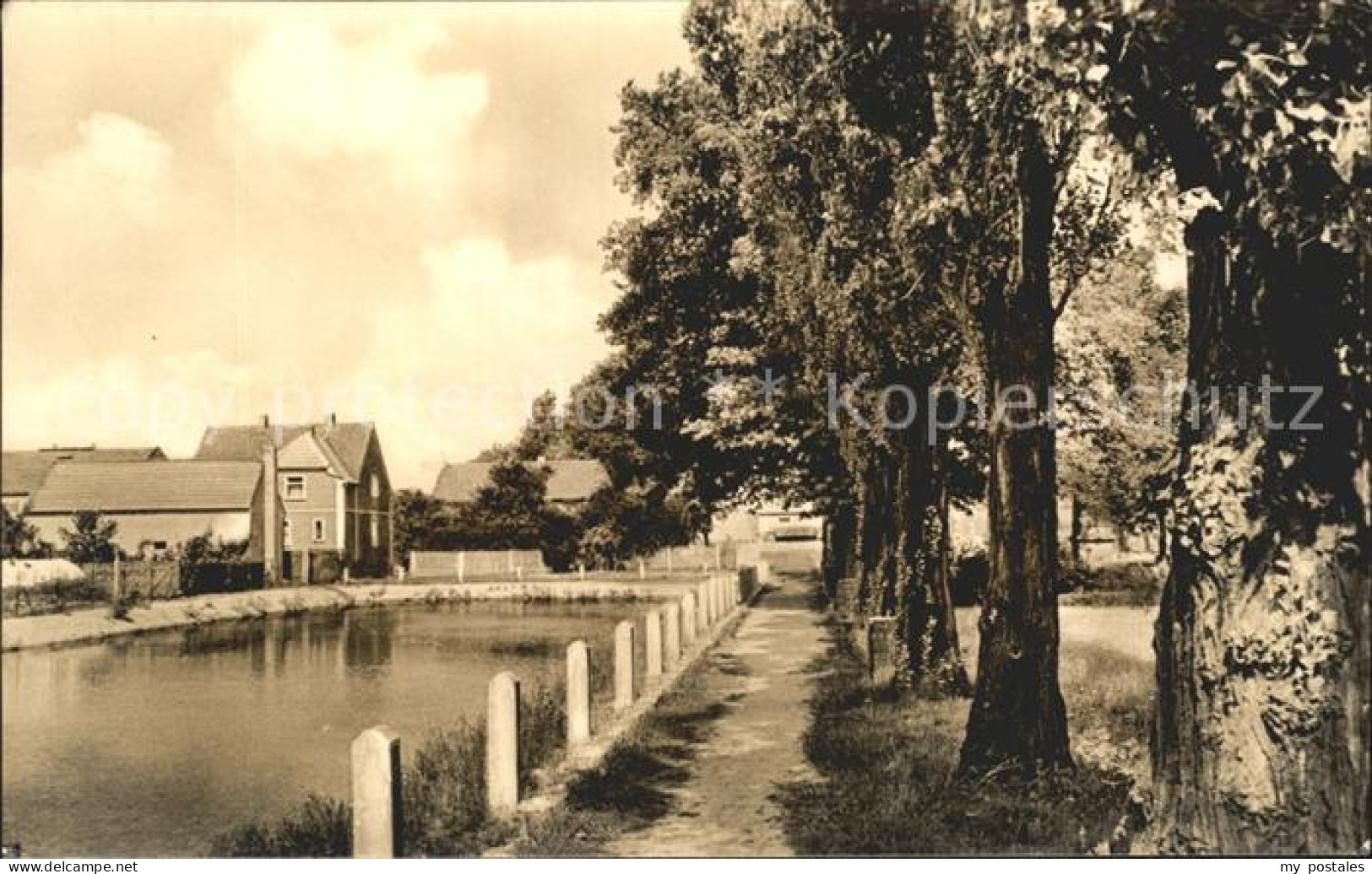 Proesen Am Dorfteich