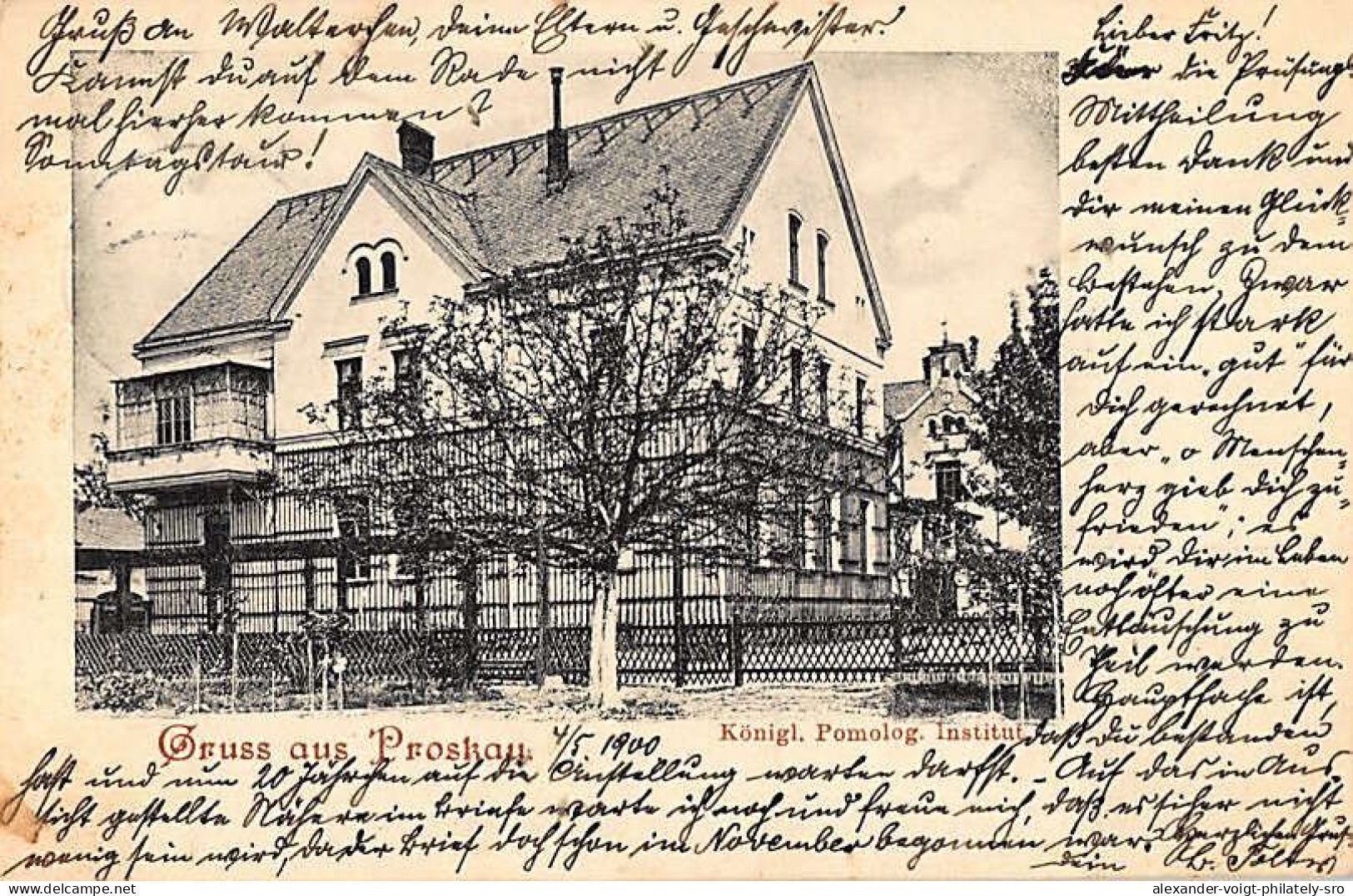 Proskau, Oppeln (Prószków, Opole) - Königl. Pomologisches Institut