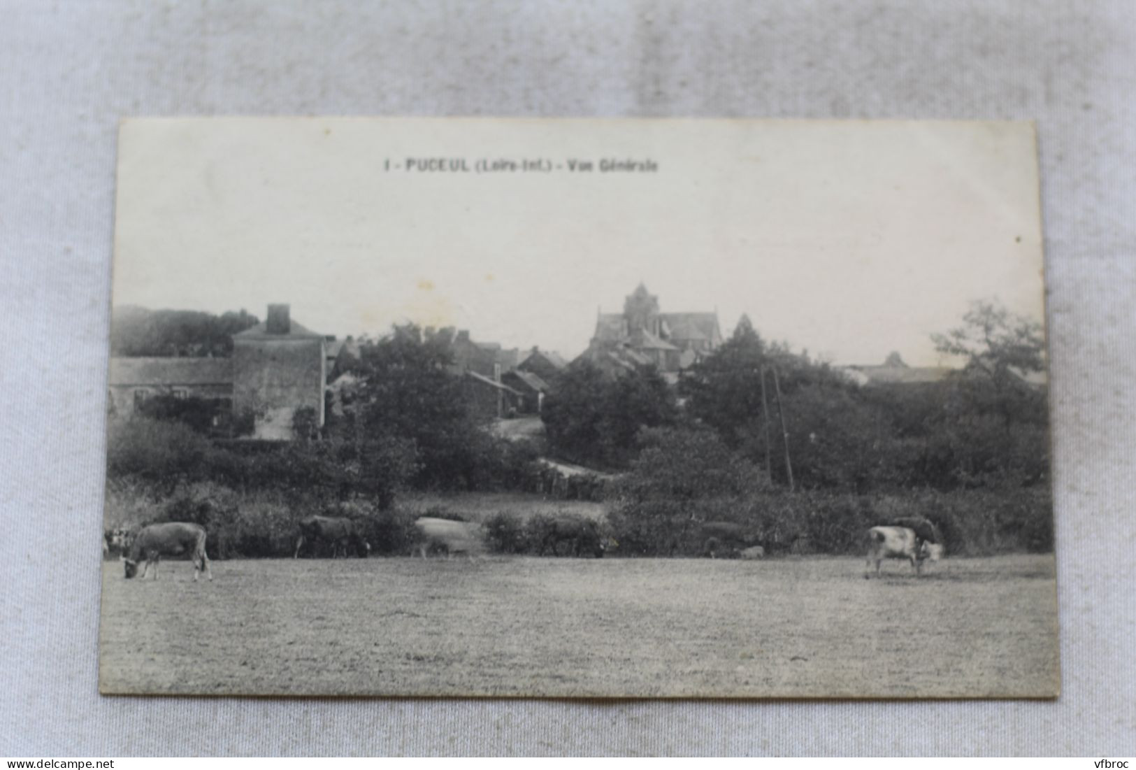Puceul, vue générale, Loire Atlantique 44