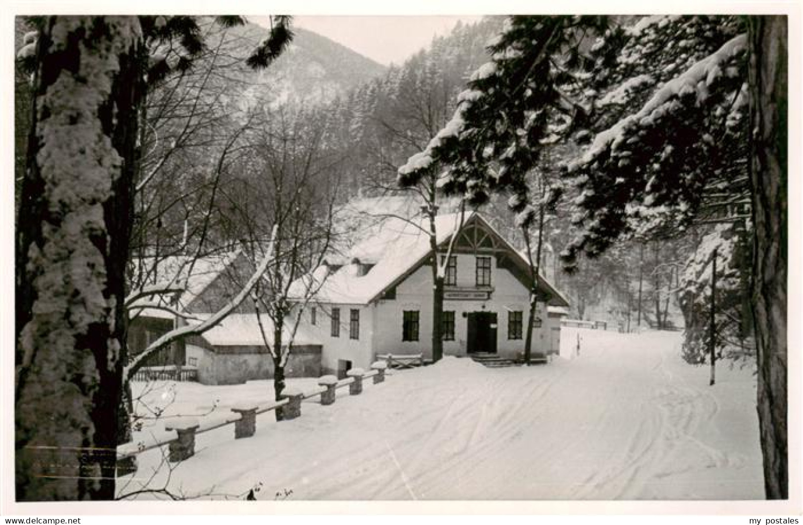 Puchberg Schneeberg Niederoesterreich AT Gasthof Schrambock Sierning Winter Schn