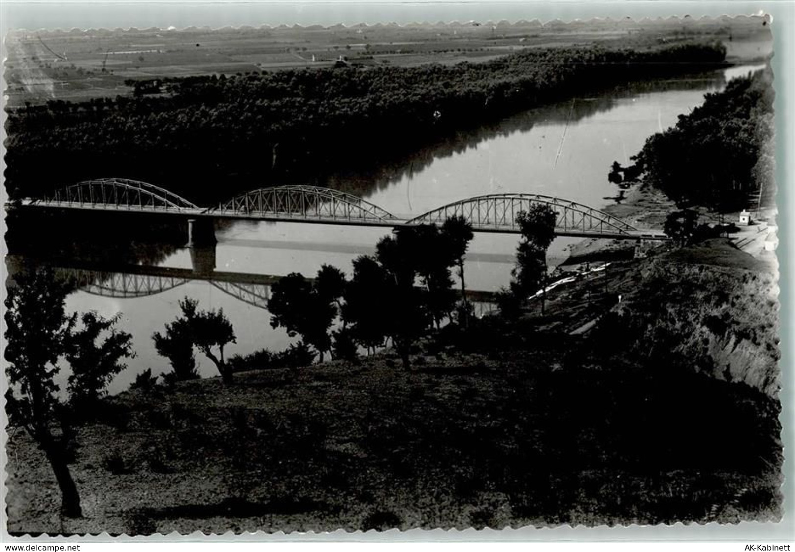Puente de Hierro Toro - 39341302