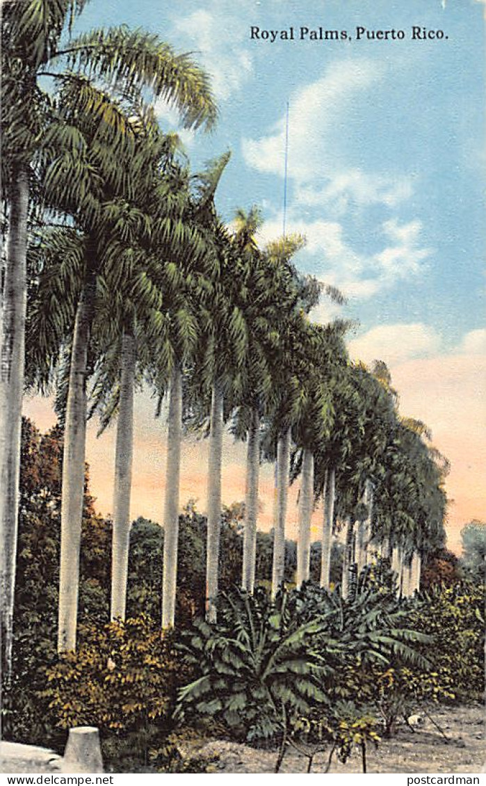 Puerto Rico - Royal Palms - Publ. Carbia Bros.